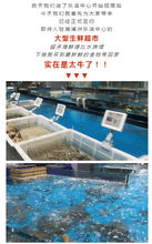哇 滟澜洲大型生鲜超市来啦 就在乐活中心,上千种商品,嗨逛根本停不下来